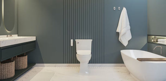 Why Americans Discover Bidets in Europe: Travel Insights & First Impressions - Bidet Smart Store